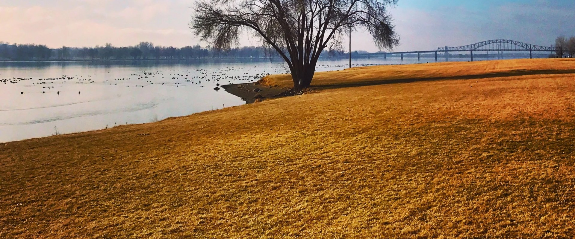 The Power of Wellness Events in Pasco, Washington: A Comprehensive Guide