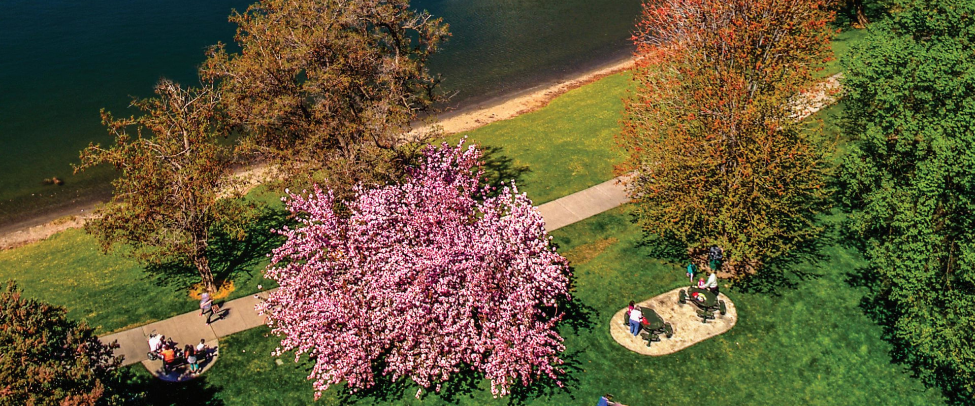 The Growing Popularity of Wellness Events in Pasco, Washington: A Guide to Purchasing Tickets at the Door