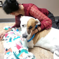 The Ultimate Guide to Bringing Your Pet to Wellness Events in Pasco, Washington