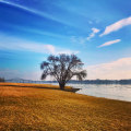 The Power of Wellness Events in Pasco, Washington: A Comprehensive Guide